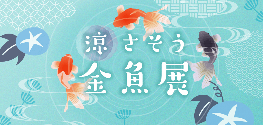 夏休みミニ展示「 涼 さそう 金魚展」